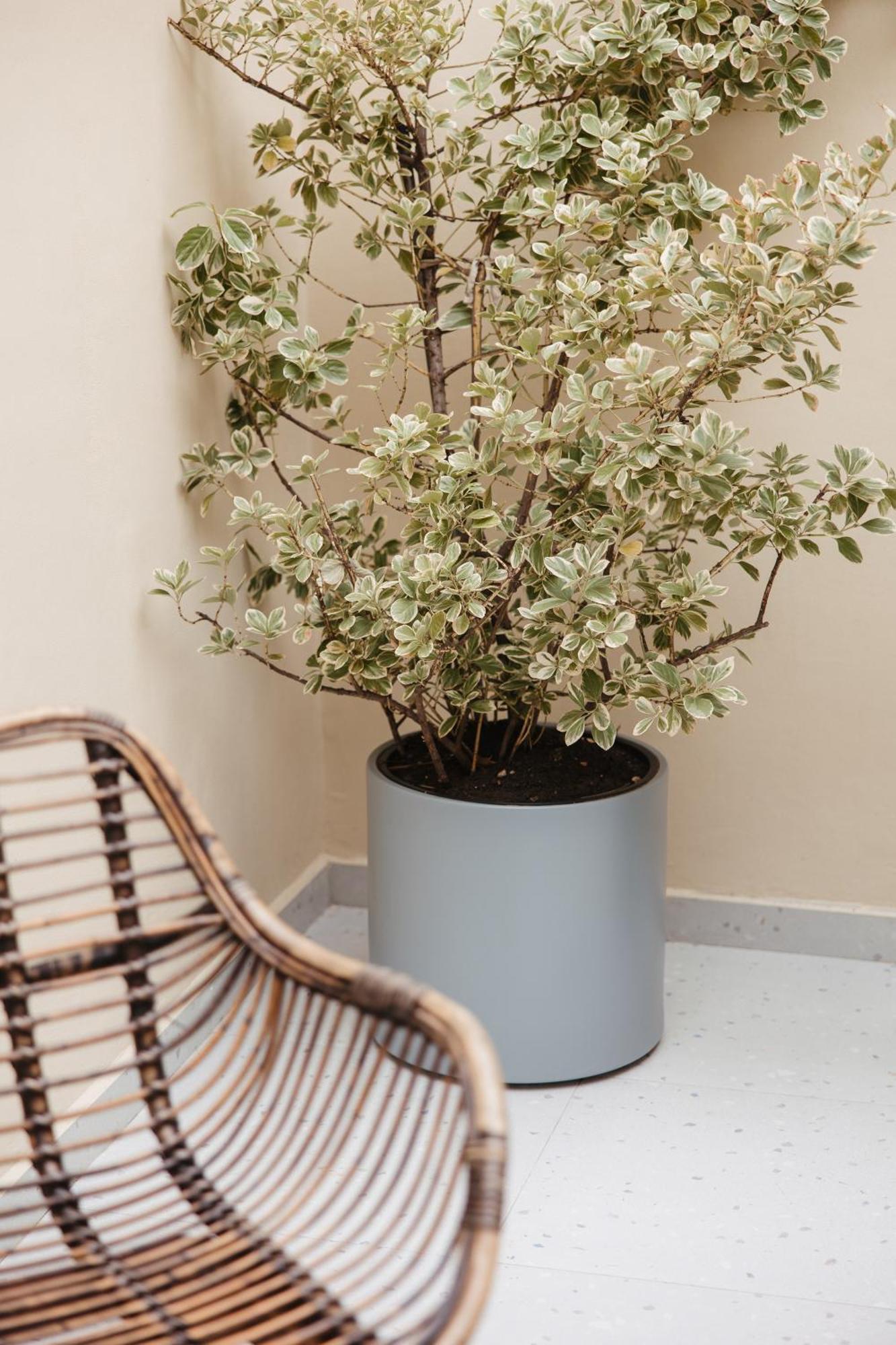 Greygreen By Holistay Appartamento